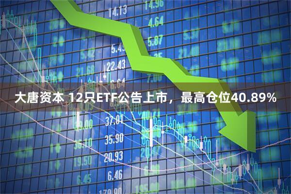 大唐资本 12只ETF公告上市，最高仓位40.89%