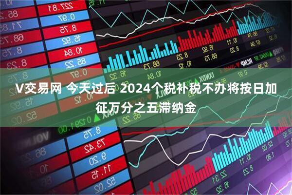 V交易网 今天过后 2024个税补税不办将按日加征万分之五滞纳金